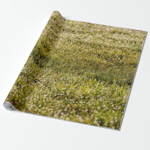 Papel De Presente Fundo de primavera verde fresco, com bokeef
