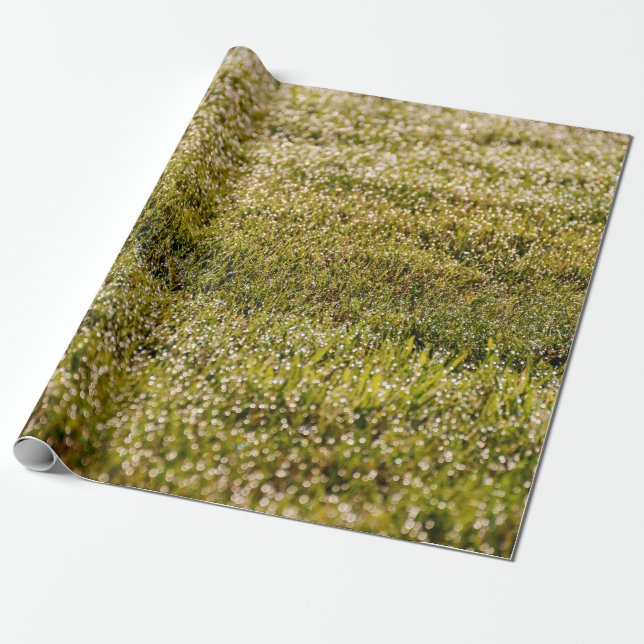 Papel De Presente Fundo de primavera verde fresco, com bokeef (Desenrolado)