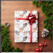 FUNDO DO MEU CORAÇÃO 5 cores de chow