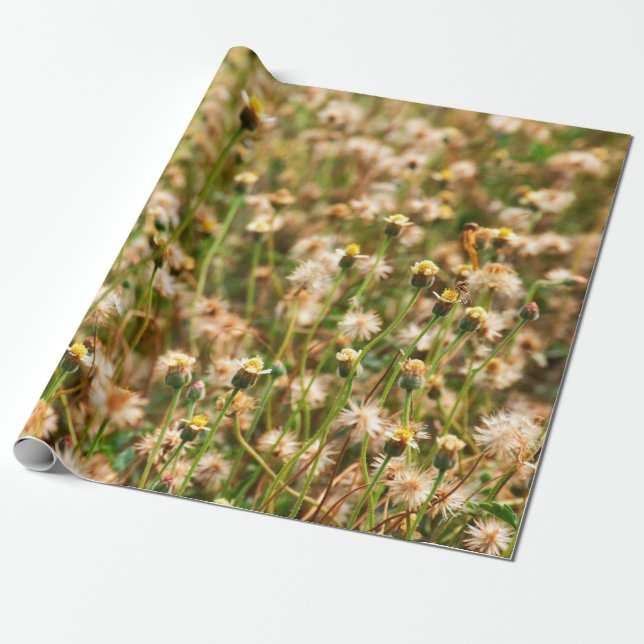 Papel De Presente Fundo natural com fundo de floração de erva, bea (Desenrolado)