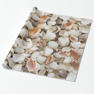 Papel De Presente Fundo original do estilo do Seashell do teste