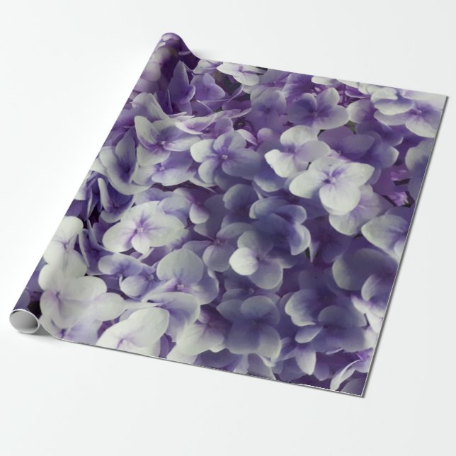 Papel De Presente Fundo roxo da flor do Hydrangea (Desenrolado)