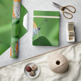 Papel De Presente Fundo verde e borboleta amarela e branca e aranha