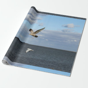 Papel De Presente Gaivotas em vôo