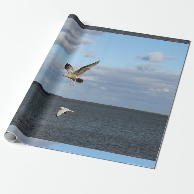 Papel De Presente Gaivotas em vôo (Desenrolado)