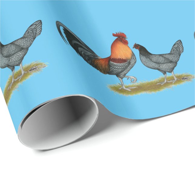 Papel De Presente Galinha Azul de Delaware (Ponta do rolo)