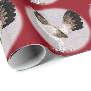 Papel De Presente Gamecock:  Hennie