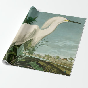 Papel De Presente Garça Branca de Audubon Ave Birding