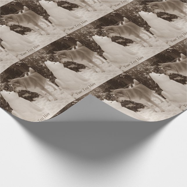 Papel De Presente gatinha akita bebendo cachorro bonitão (Ponta)