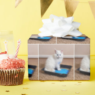 Papel De Presente Gatinho Branco Em Tinta Azul