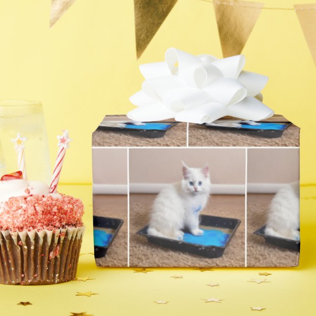 Papel De Presente Gatinho Branco Em Tinta Azul (Festa de aniversário)