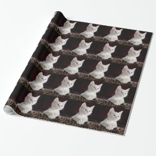 Papel De Presente Gatinho Branco Super Fofo