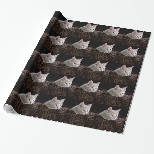 Papel De Presente Gatinho Creme com Olhos Azuis Lindos (Desenrolado)