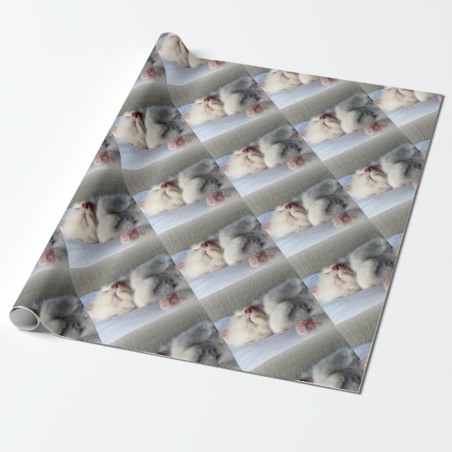 Papel De Presente Gatinho Sonolento (Desenrolado)