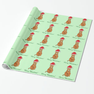 Papel De Presente Gato Abyssinian no chapéu do papai noel