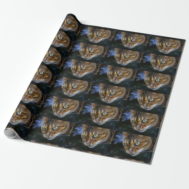 Papel De Presente Gato Bengal Belo (Desenrolado)