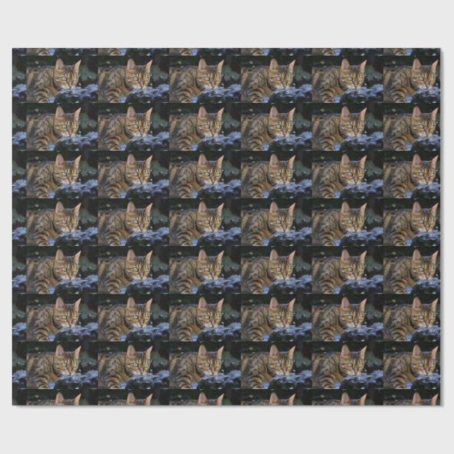 Papel De Presente Gato Bengal Sorrateiro (Aberto)