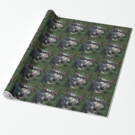 Papel De Presente Gato Cinza Marrom Branco com Olhos Verdes