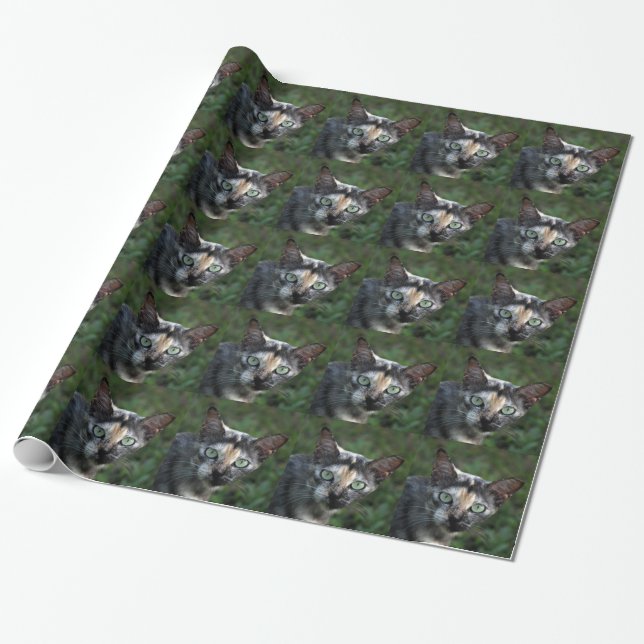 Papel De Presente Gato Cinza Marrom Branco com Olhos Verdes (Desenrolado)