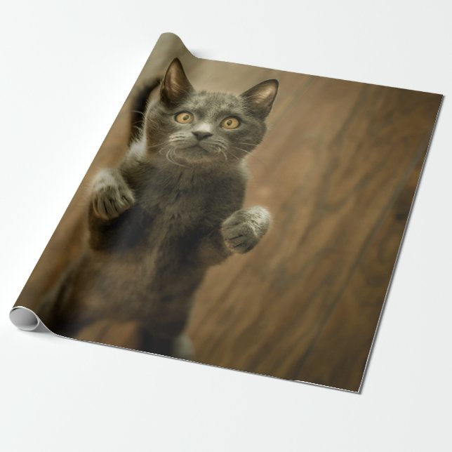 Papel De Presente GATO DE cinza EM DOIS PÉS (Desenrolado)