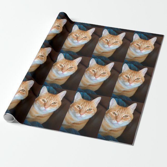Papel De Presente Gato de gato malhado alaranjado (Desenrolado)