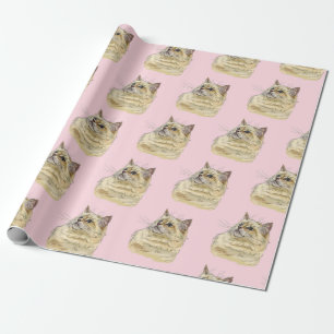 Papel De Presente Gato de Ragdoll que desenhava a mão