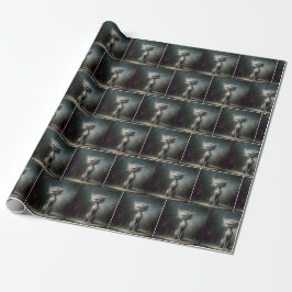 Papel De Presente Gato de Rua Desgrenhado
