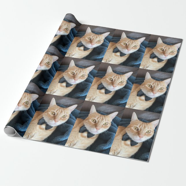 Papel De Presente Gato do laço (Desenrolado)
