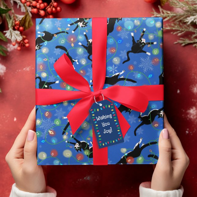 Papel De Presente Gato Engraçado Tangido nas Luzes de Natal (Criador carregado)