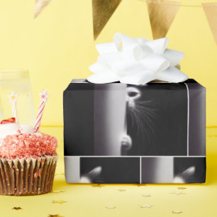 Papel De Presente Gato Escondido Em Sombras