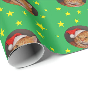 Papel De Presente Gato Laranja Tabby Natal