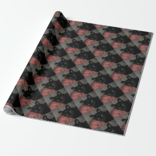 Papel De Presente Gato Negro Halloween