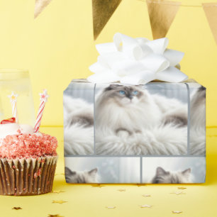 Papel De Presente Gato Ragdoll em uma Esteira de Pelúcia