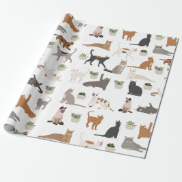Papel De Presente Gatos e plantas caseiras
