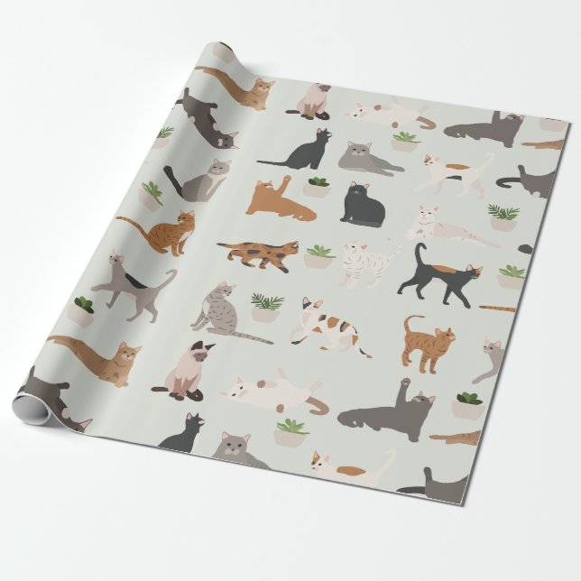 Papel De Presente Gatos Fofos e Plantas Domésticas  (Desenrolado)