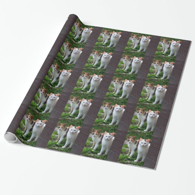 Papel De Presente Gatos fora brincando (Desenrolado)