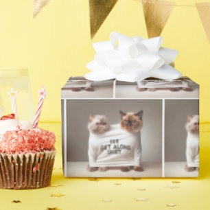 Papel De Presente Gatos Irmão Vestindo Fica Ao Longo Da Camisa