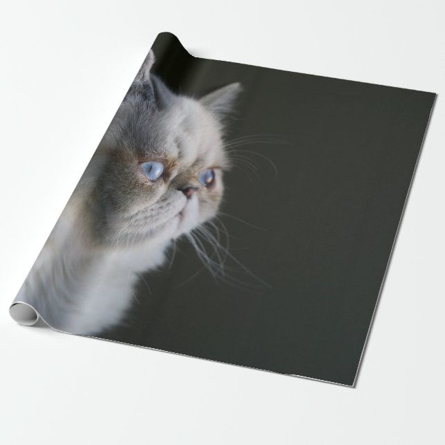 PAPEL DE PRESENTE GAZE AZUL (Desenrolado)