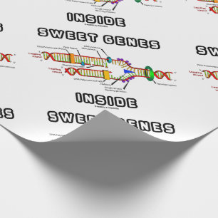 Papel De Presente Genes Doce Humor de Replicação de DNA Dentro