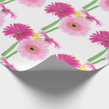 Gerbera Daisy Flowers