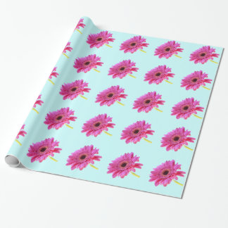 Papel De Presente Gerbera Daisy rosa com fundo azul