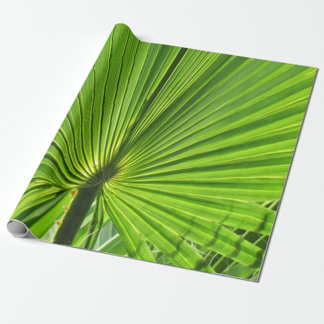 Papel De Presente Gift Wrap - Palm Leaf (Desenrolado)