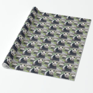 Papel De Presente Gigante Panda Amigável