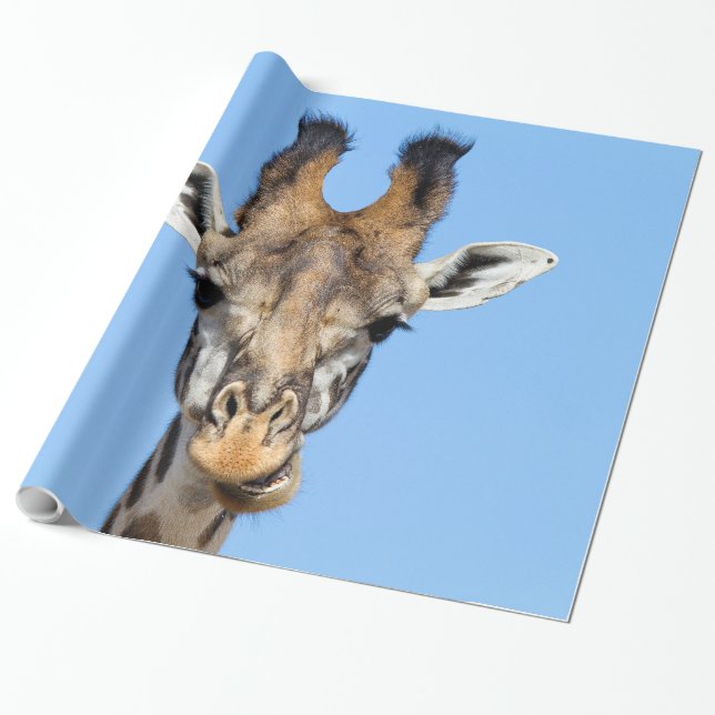 Papel De Presente Girafa (Desenrolado)