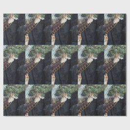 Papel De Presente Girafa