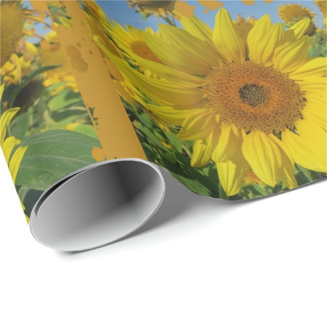 Papel De Presente girassóis amarelos no verão (Ponta do rolo)