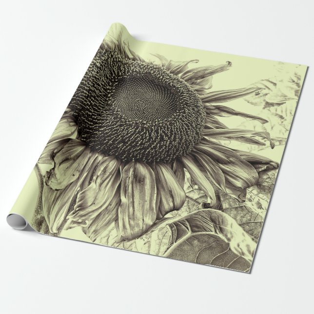 Papel De Presente Girassóis Gigantes Vintage Desfoque Amarelo (Desenrolado)