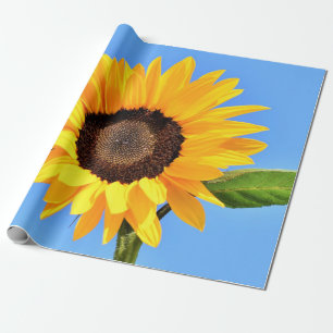 Papel De Presente Girassol Amarelo contra Sol no Céu Azul - Verão