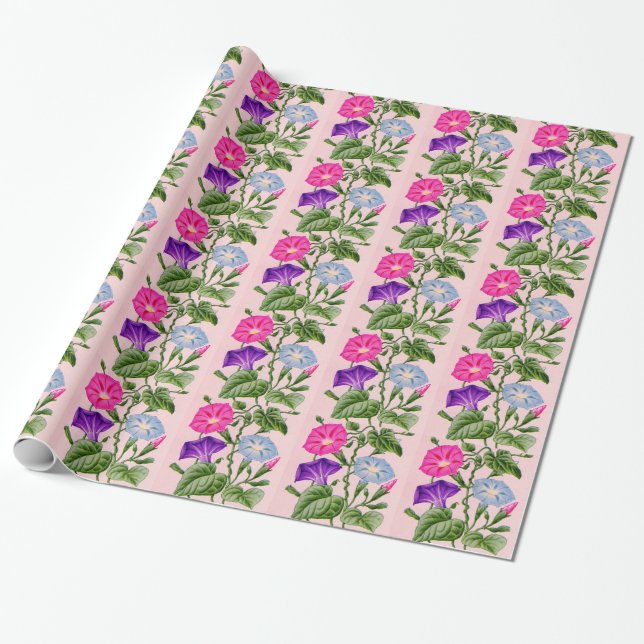 Papel De Presente glória matinal em azul e rosa (Desenrolado)