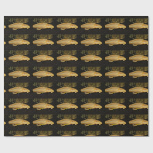 Papel De Presente Glyptoperichthys gibbiceps